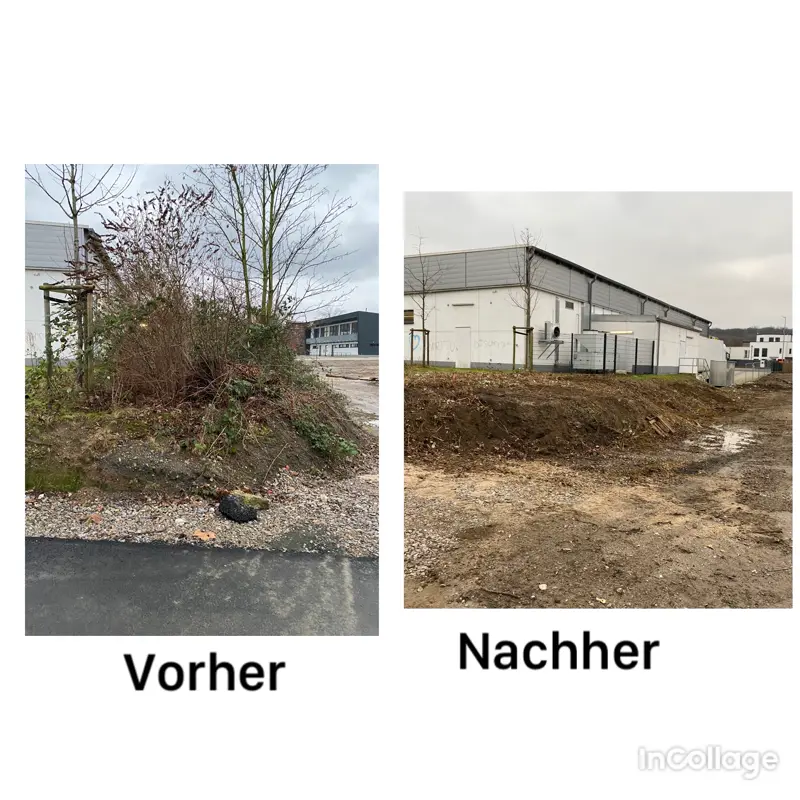 Gebüschfläche vor und nach der Rodung