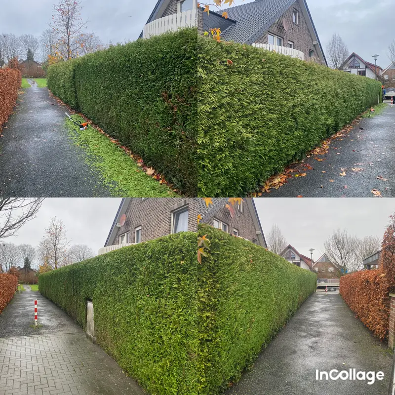 Gerade und sauber geschnittene lange Hecke