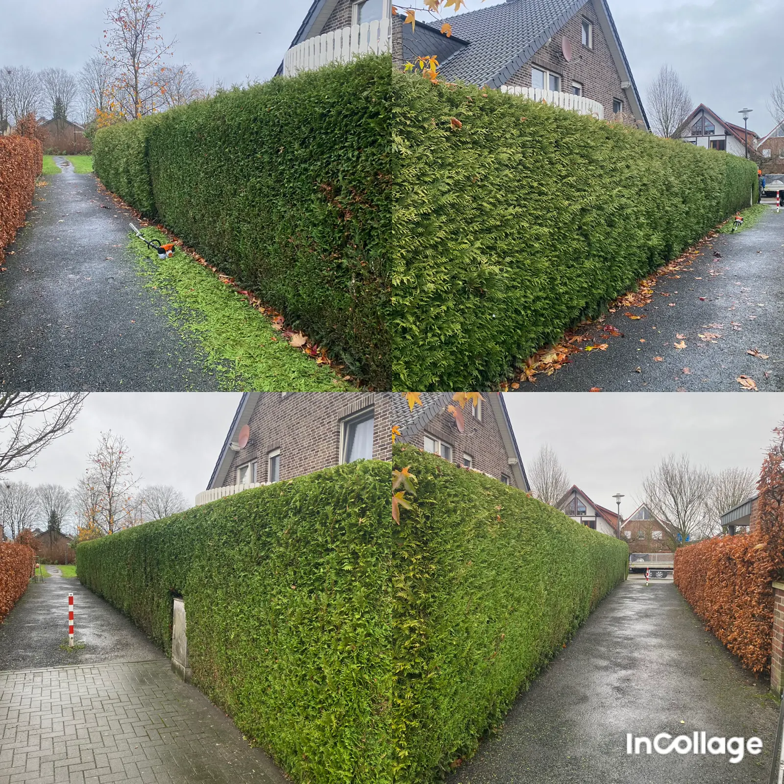 Lange Hecke vor und nach dem Schnitt